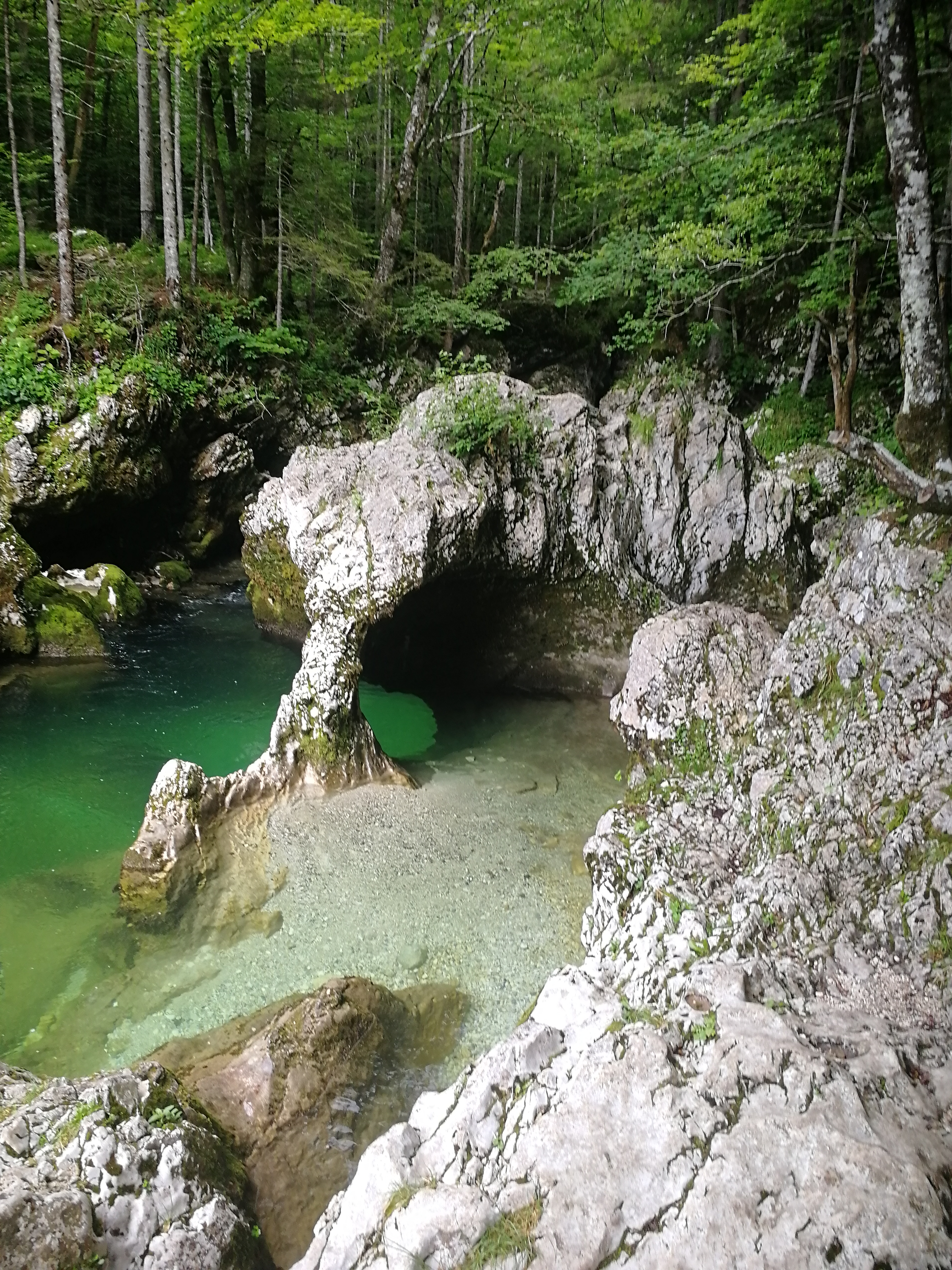 IMG_20200716_104524.jpg